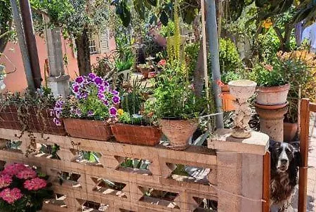 La Casetta Di Nonna Maria Cocco Карбония
